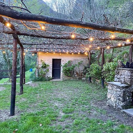 Il Frutteto Natura A Relax Stazzema Luaran gambar