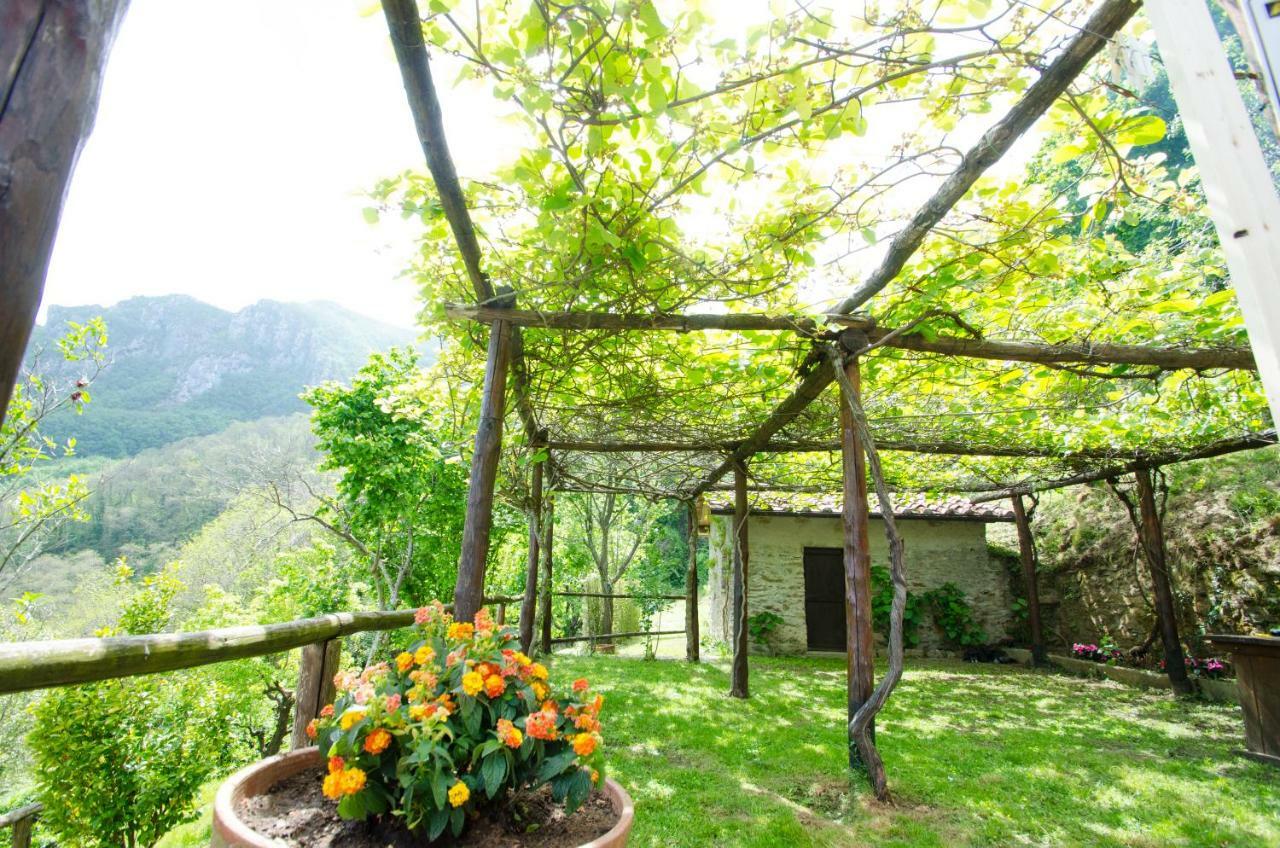 Il Frutteto Natura A Relax Stazzema Luaran gambar