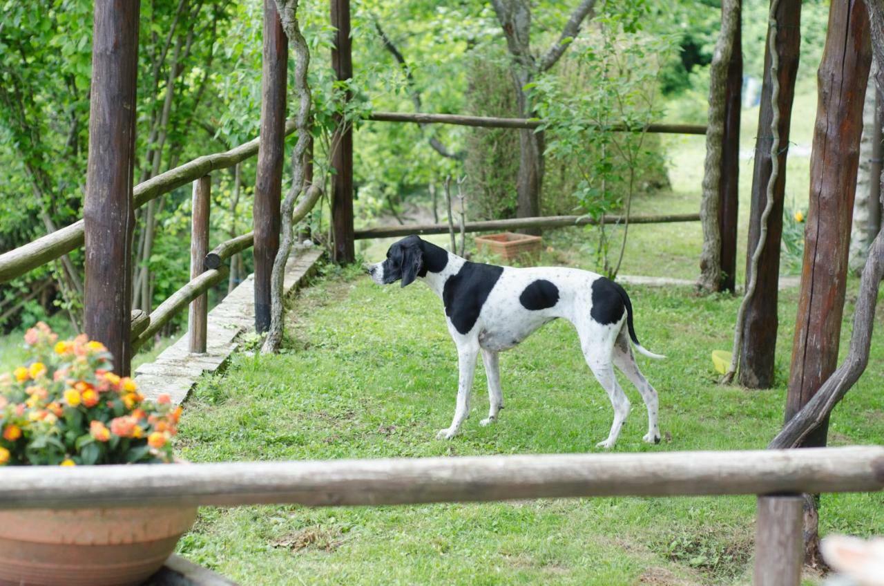 Il Frutteto Natura A Relax Stazzema Luaran gambar