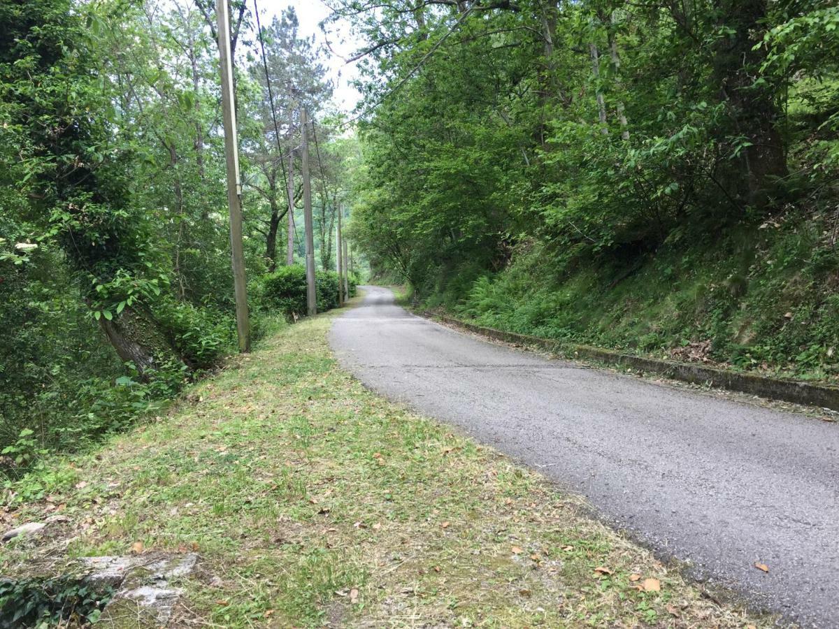 Il Frutteto Natura A Relax Stazzema Luaran gambar